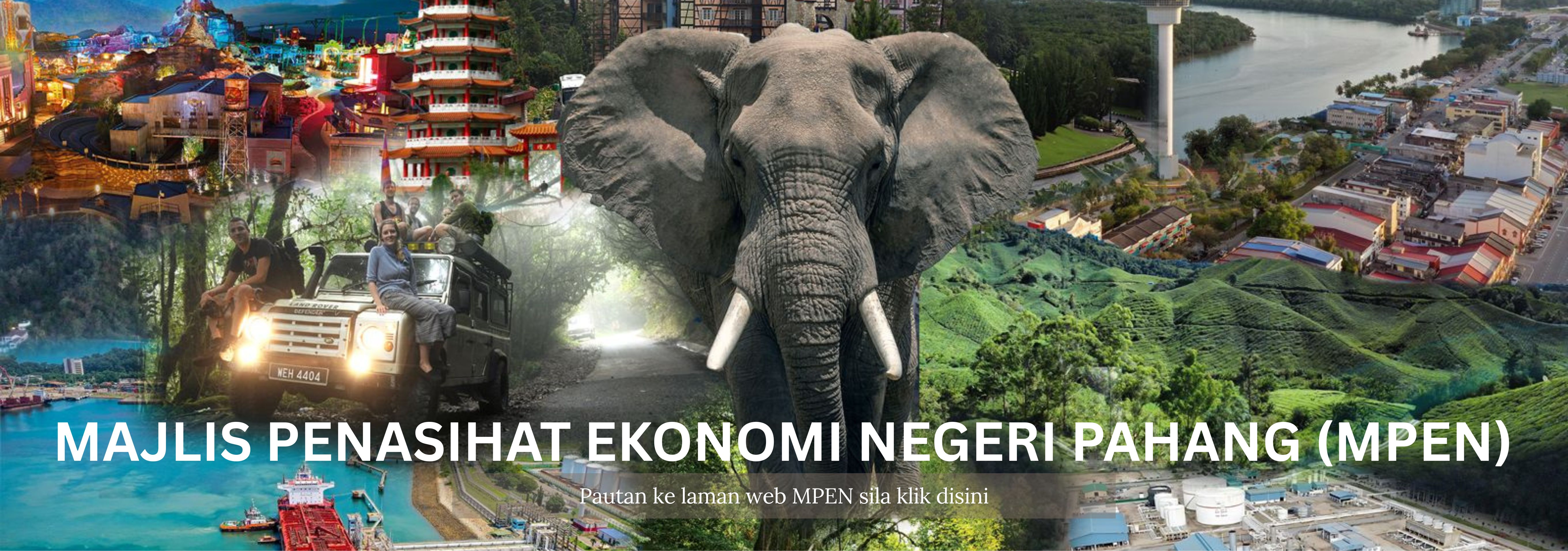 MAJLIS PENASIHAT EKONOMI NEGERI PAHANG (MPEN) 